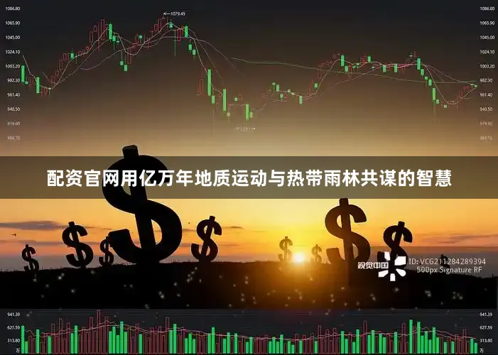 配资官网用亿万年地质运动与热带雨林共谋的智慧