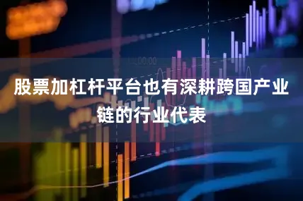 股票加杠杆平台也有深耕跨国产业链的行业代表