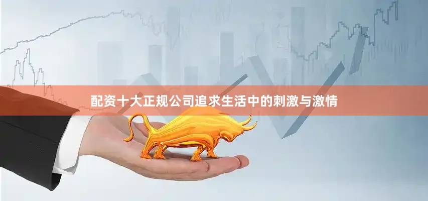 配资十大正规公司追求生活中的刺激与激情