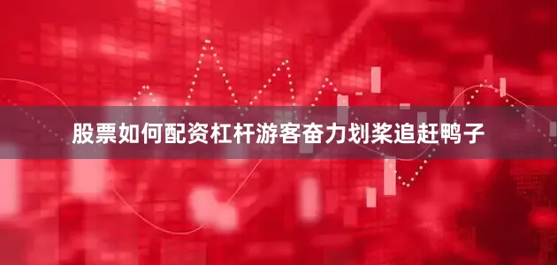 股票如何配资杠杆游客奋力划桨追赶鸭子
