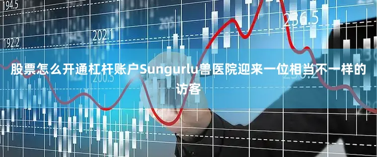 股票怎么开通杠杆账户Sungurlu兽医院迎来一位相当不一样的访客