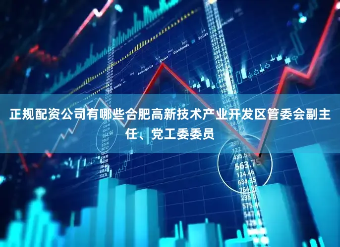 正规配资公司有哪些合肥高新技术产业开发区管委会副主任、党工委委员